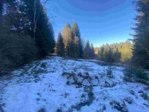 Prodej pozemku, Čachrov - Javorná, 12768 m2