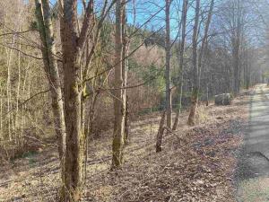 Prodej pozemku, Čachrov - Javorná, 12768 m2