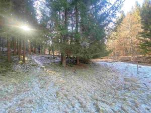 Prodej pozemku, Čachrov - Javorná, 12768 m2