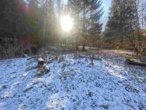 Prodej pozemku, Čachrov - Javorná, 12768 m2