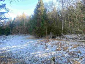 Prodej pozemku, Čachrov - Javorná, 12768 m2