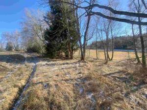 Prodej pozemku, Čachrov - Javorná, 12768 m2