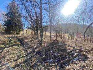 Prodej pozemku, Čachrov - Javorná, 12768 m2