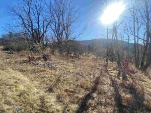 Prodej pozemku, Čachrov - Javorná, 12768 m2