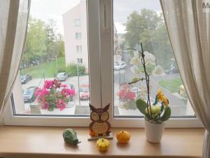 Prodej bytu 3+1, Litvínov - Horní Litvínov, Podkrušnohorská, 71 m2
