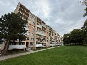 Prodej bytu 3+1, Most, Jiřího Wolkera, 69 m2
