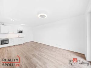 Prodej bytu 1+kk, Plzeň - Jižní Předměstí, Železná, 37 m2