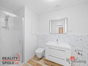 Prodej bytu 1+kk, Plzeň - Jižní Předměstí, Železná, 37 m2