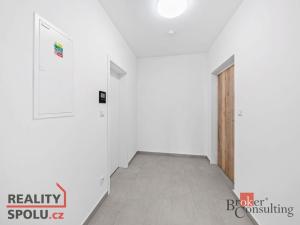 Prodej bytu 1+kk, Plzeň - Jižní Předměstí, Železná, 37 m2