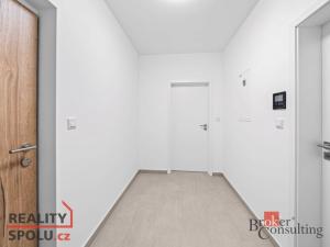 Prodej bytu 1+kk, Plzeň - Jižní Předměstí, Železná, 37 m2