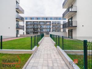 Prodej bytu 1+kk, Plzeň - Jižní Předměstí, Železná, 37 m2