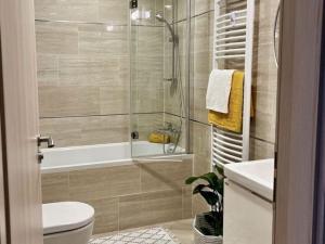 Pronájem bytu 1+kk, Praha - Holešovice, 41 m2