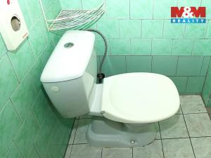 Pronájem obchodního prostoru, Kutná Hora - Hlouška, Masarykova, 201 m2