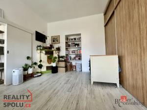 Pronájem bytu 2+kk, Opava - Předměstí, Joy Adamsonové, 52 m2