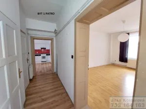 Prodej rodinného domu, Krnov - Pod Bezručovým vrchem, Albrechtická, 300 m2