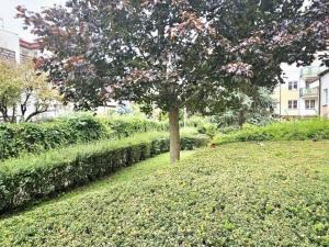 Prodej bytu 2+1, Praha - Libeň, Společná, 65 m2