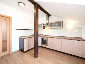 Pronájem bytu 1+kk, Praha - Holešovice, Komunardů, 54 m2