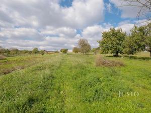 Prodej pozemku pro bydlení, Těmice, 2331 m2