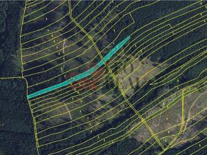 Prodej lesa, Městečko Trnávka, 33528 m2