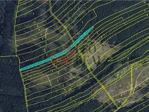 Prodej lesa, Městečko Trnávka, 33528 m2