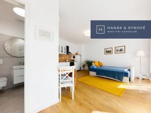 Pronájem bytu 1+kk, Brno, Francouzská, 27 m2