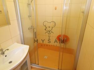 Pronájem bytu 1+1, České Budějovice - České Budějovice 5, Třebízského, 33 m2