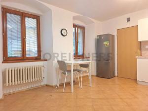 Pronájem bytu 1+kk, Olomouc, Panská, 25 m2