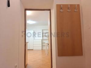 Pronájem bytu 1+kk, Olomouc, Panská, 25 m2