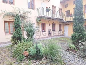 Pronájem bytu 1+kk, Olomouc, Panská, 25 m2