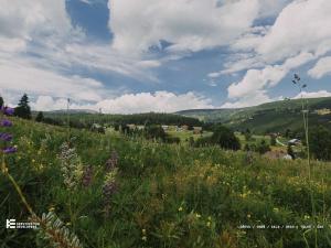 Prodej bytu 5+kk, Pec pod Sněžkou, 135 m2