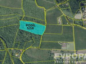 Prodej pole, Žitenice, 33611 m2