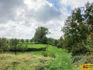 Prodej rodinného domu, Bohdalice-Pavlovice - Pavlovice, 96 m2