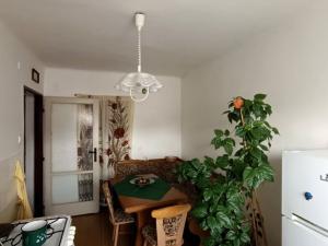 Prodej bytu 2+1, České Budějovice - České Budějovice 3, Otakarova, 57 m2