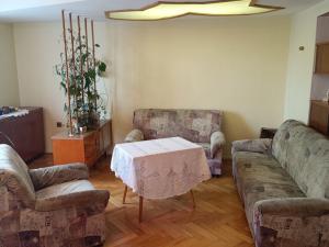 Prodej bytu 2+1, České Budějovice - České Budějovice 3, Otakarova, 57 m2