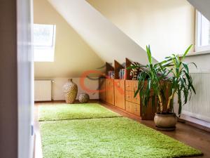Pronájem rodinného domu, Rožnov pod Radhoštěm, nábřeží Dukelských hrdinů, 210 m2