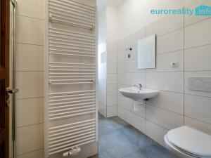 Pronájem bytu 2+kk, Luby, Revoluční, 46 m2