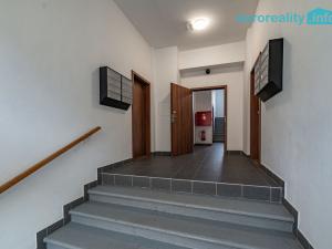 Pronájem bytu 2+kk, Luby, Revoluční, 46 m2