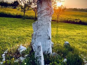 Prodej zemědělské usedlosti, Uhelná Příbram, 300 m2