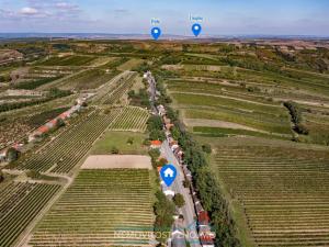 Prodej vinného sklepa, Haugsdorf, Rakousko, 177 m2