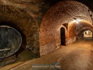 Prodej vinného sklepa, Haugsdorf, Rakousko, 177 m2