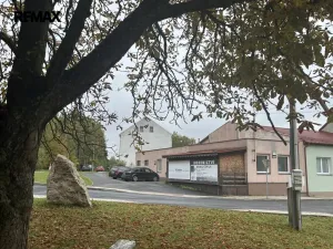 Prodej obchodního prostoru, Mírová, 101 m2