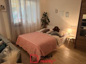 Pronájem bytu 1+kk, Olomouc, U cukrovaru, 50 m2