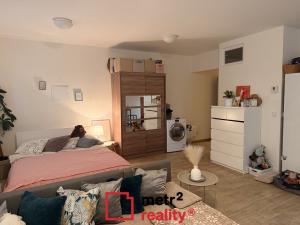 Pronájem bytu 1+kk, Olomouc, U cukrovaru, 50 m2