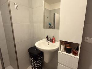 Pronájem bytu 1+kk, Olomouc, U cukrovaru, 50 m2