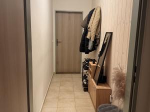 Pronájem bytu 1+kk, Olomouc, U cukrovaru, 50 m2
