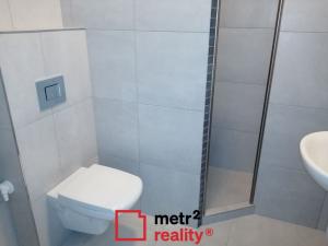 Pronájem bytu 1+kk, Olomouc, U cukrovaru, 50 m2