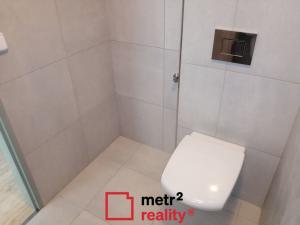 Pronájem bytu 1+kk, Olomouc, U cukrovaru, 50 m2