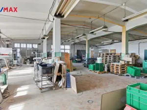 Prodej výrobních prostor, Aš, Tyršova, 4434 m2