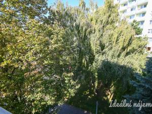 Pronájem bytu 3+1, Rousínov, V Sídlišti, 78 m2
