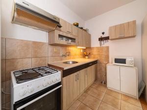 Prodej bytu 1+1, Plzeň, Ke Sv. Jiří, 51 m2